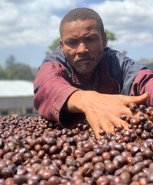 kanya-farmer-treating-coffee